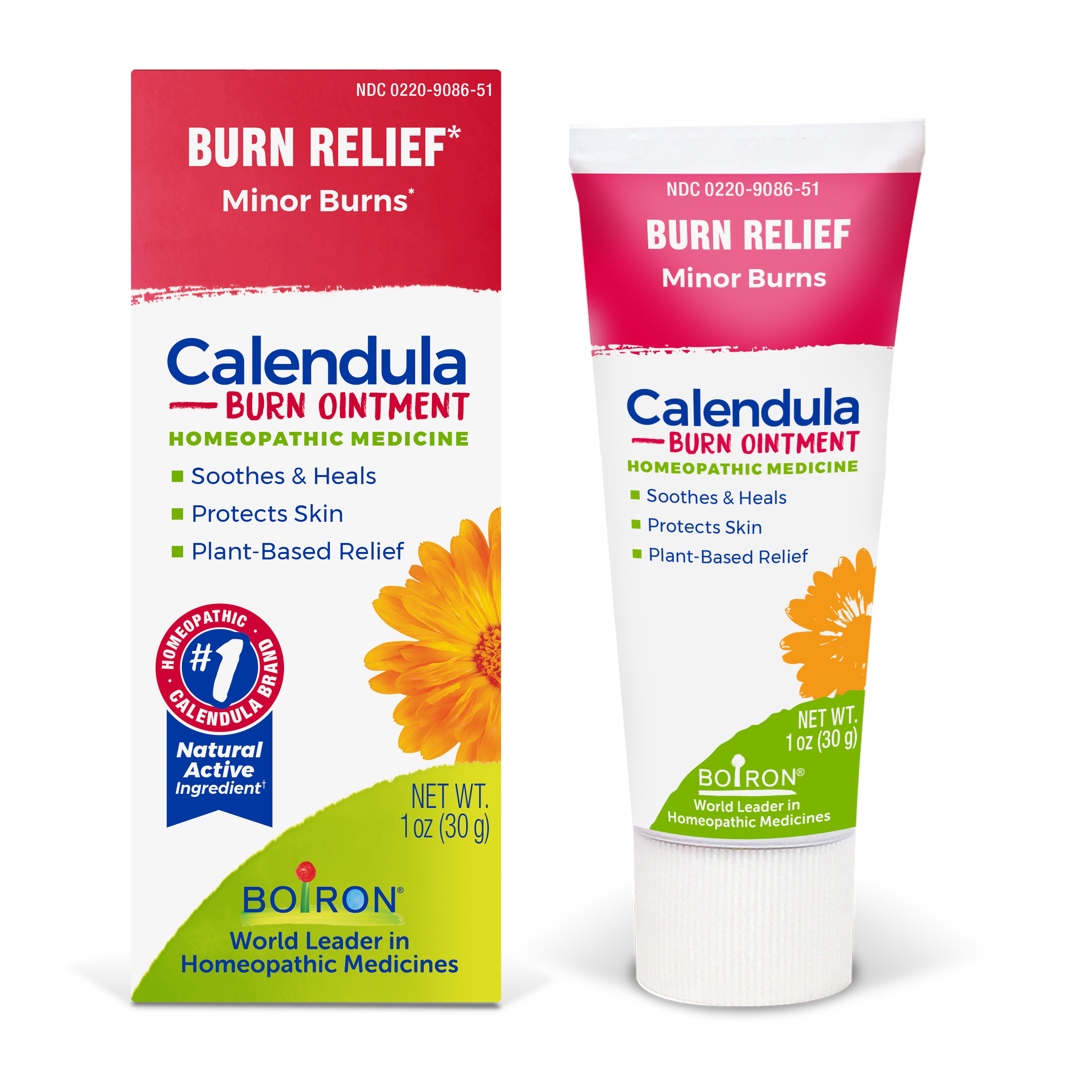 Image for Calendula Burn