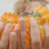 Calendula flowers in hands